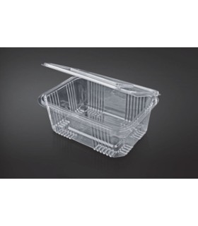 TARRINA BISAGRA R-PET RECT.2000 FT10GD C/200