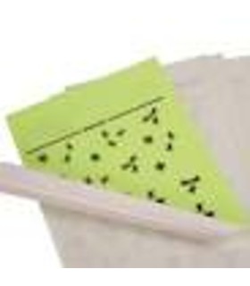 RECAMBIO CARTUCHO ADHESIVO AKJ1000 C/6