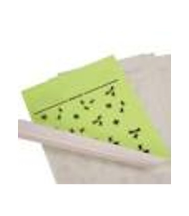 RECAMBIO CARTUCHO ADHESIVO AKJ1000 C/6