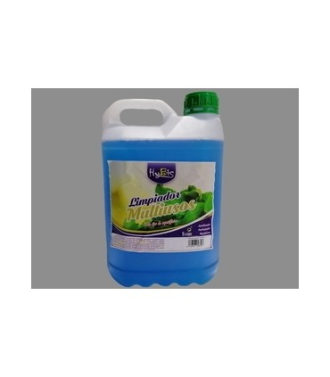 MULTIUSOS *HYBIS* 5 L